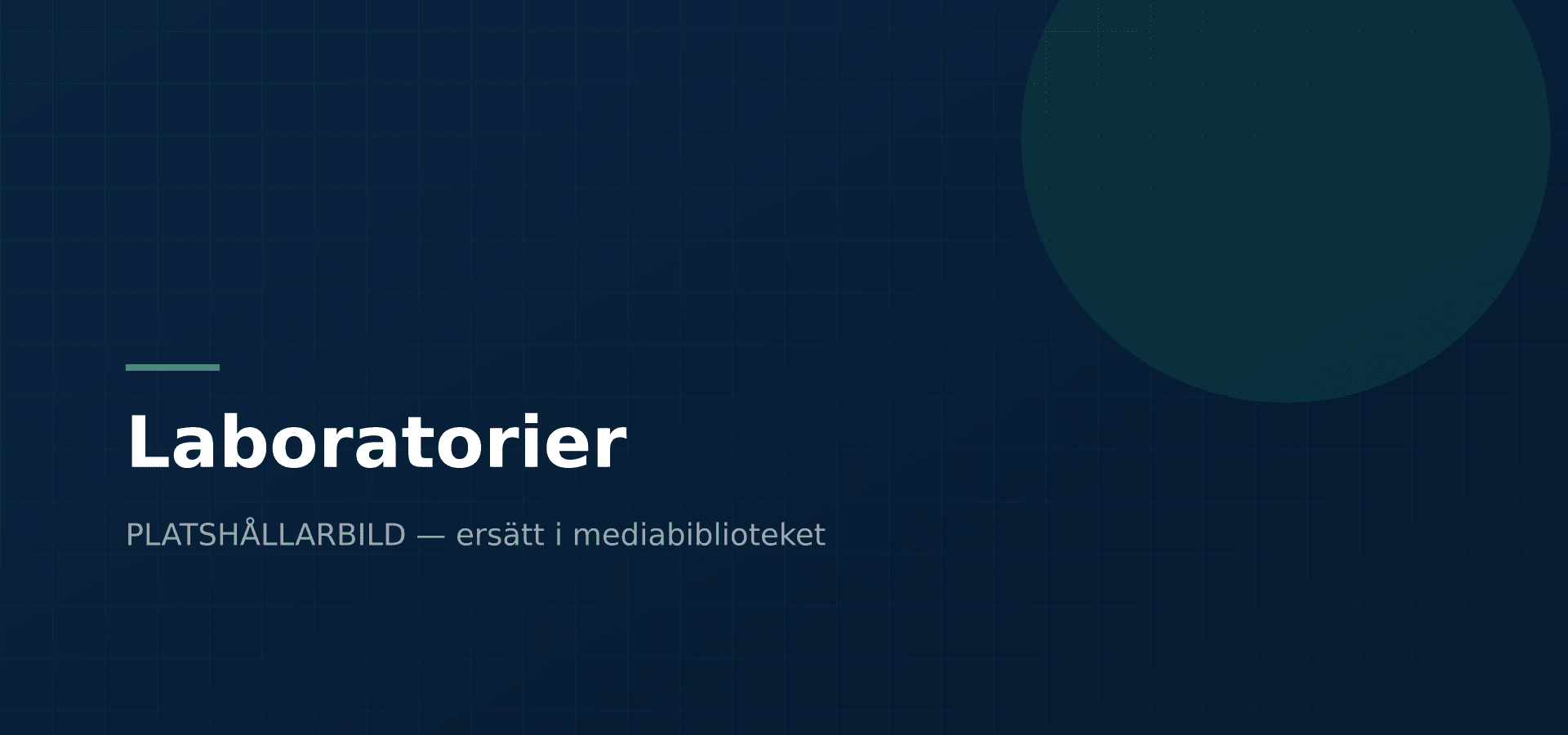 Laboratorier — Enlighter