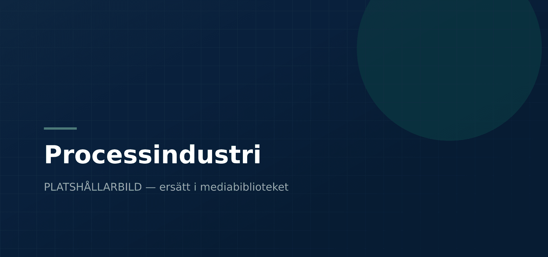 Processindustri — Enlighter